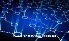 什么是TP钱包中的BSC地址？