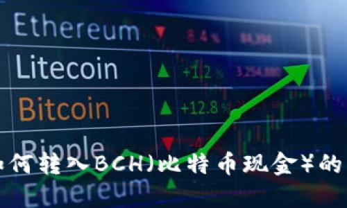 TP钱包如何转入BCH(比特币现金)的详细指南