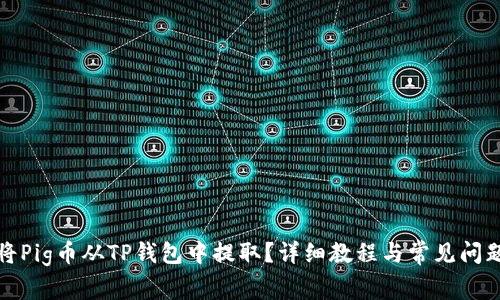 如何将Pig币从TP钱包中提取?详细教程与常见问题解答