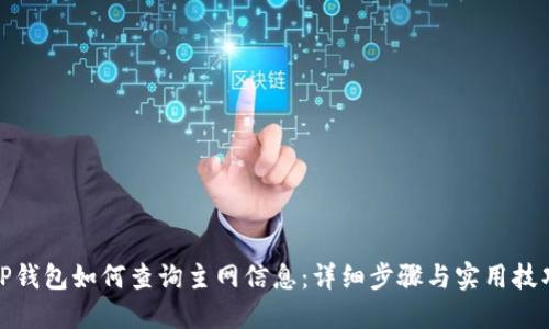 TP钱包如何查询主网信息:详细步骤与实用技巧
