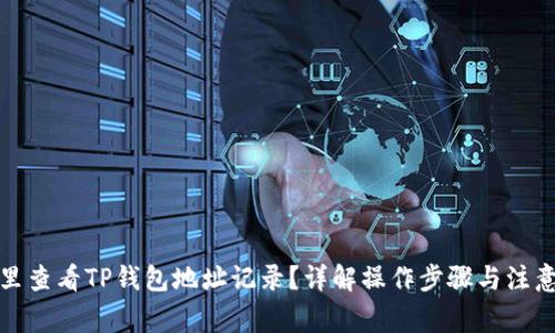在哪里查看TP钱包地址记录?详解操作步骤与注意事项
