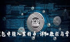 :如何在TP钱包中转入莱特币：详细教程