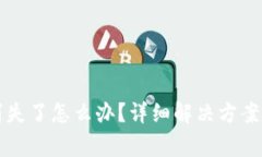 TP钱包里的币消失了怎么办？详细解决