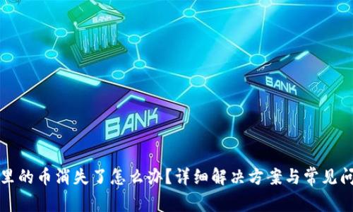 TP钱包里的币消失了怎么办?详细解决方案与常见问题解析
