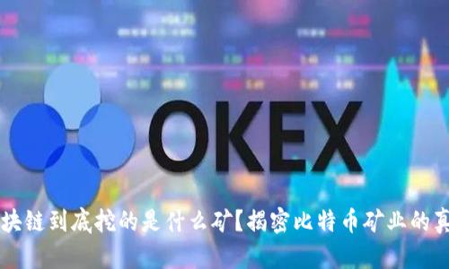 区块链到底挖的是什么矿？揭密比特币矿业的真相