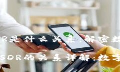 区块链比特币SDR是什么关系：解密数字经济的未
