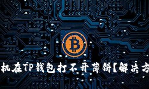 苹果手机在TP钱包打不开薄饼?解决方案解析