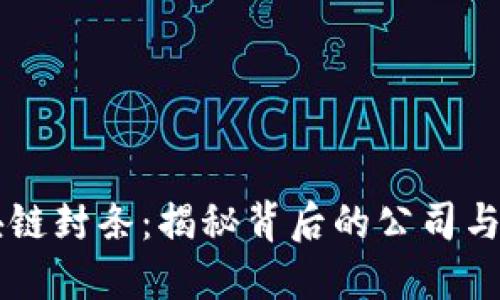 亳州区块链封条:揭秘背后的公司与技术应用