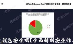 TP创建钱包安全吗？全面解析安全性与风险
