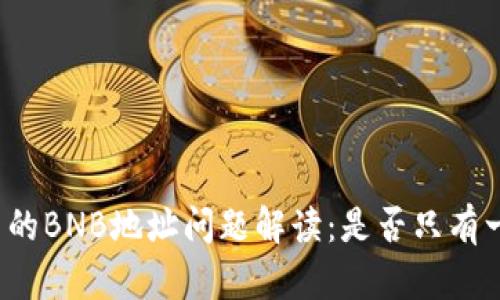 TP钱包中的BNB地址问题解读:是否只有一个地址?