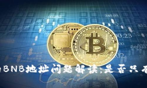 TP钱包中的BNB地址问题解读:是否只有一个地址?