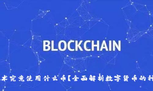 区块链技术究竟使用什么币?全面解析数字货币的种类与应用