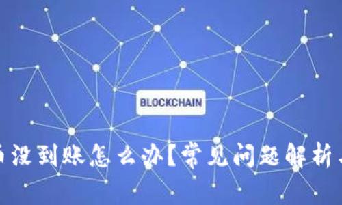tp钱包的币没到账怎么办?常见问题解析与解决方案