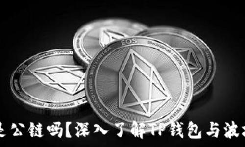 TP钱包波场是公链吗?深入了解TP钱包与波场公链的关系