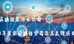 最新区块链是什么公司2023年最新区块链公司及其