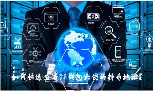 如何快速查看TP钱包大佬的持币地址?